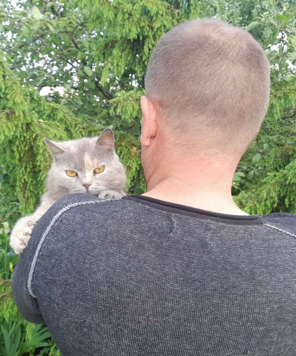 Кирилл